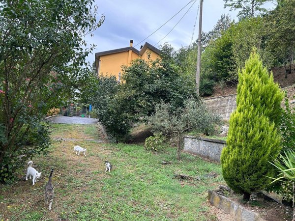 casa indipendente in vendita a Comano