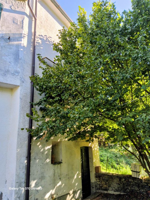 casa indipendente in vendita a Comano