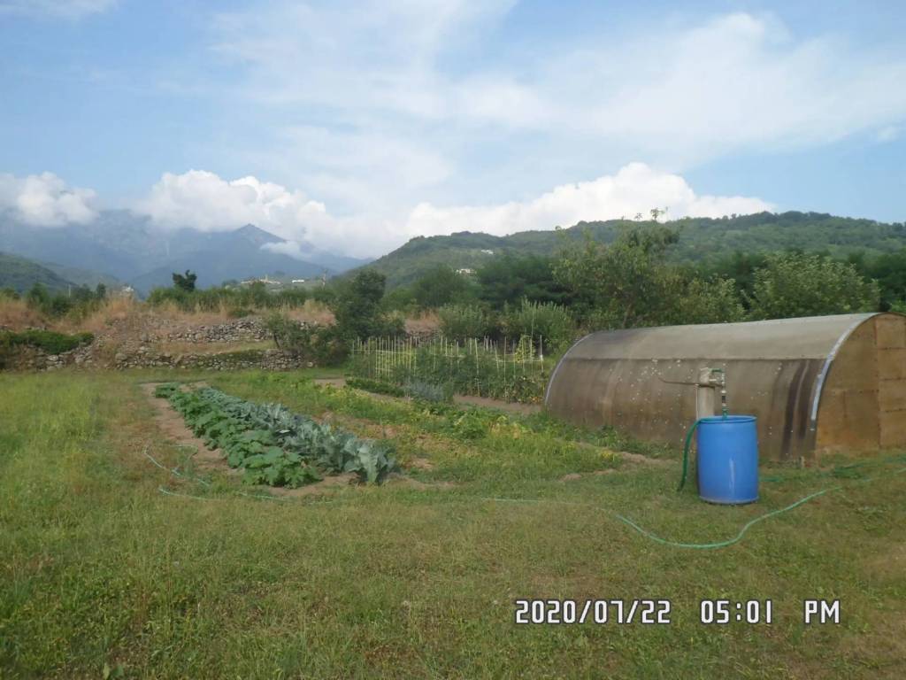 immagine annuncio 0 di 5