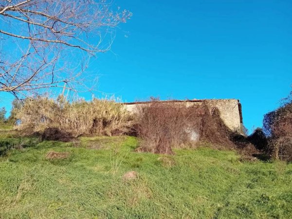 casa indipendente in vendita a Filattiera