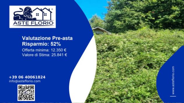 terreno agricolo in vendita a Filattiera