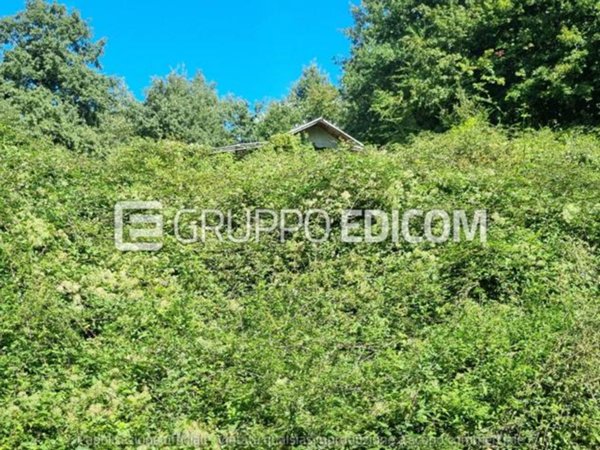 terreno agricolo in vendita a Filattiera