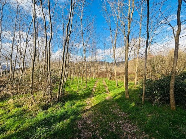 terreno agricolo in vendita a Filattiera