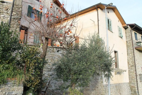 appartamento in vendita a Filattiera in zona Caprio