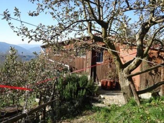 terreno agricolo in vendita a Fivizzano