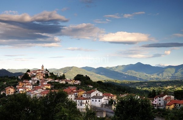 casa indipendente in vendita a Fivizzano in zona Ceserano