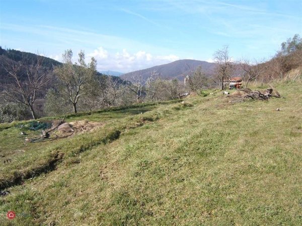 casa indipendente in vendita a Fivizzano in zona Turano