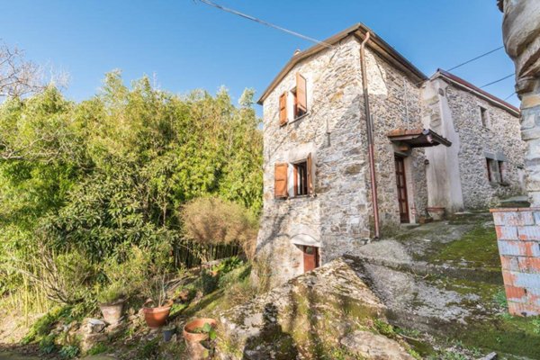 casa indipendente in vendita a Fivizzano in zona Mozzano