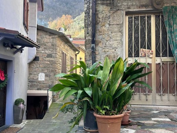 casa semindipendente in vendita a Fivizzano