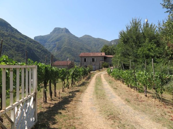 casa indipendente in vendita a Fivizzano