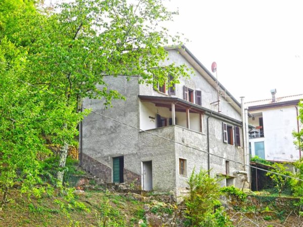 casa indipendente in vendita a Fivizzano in zona Aiola