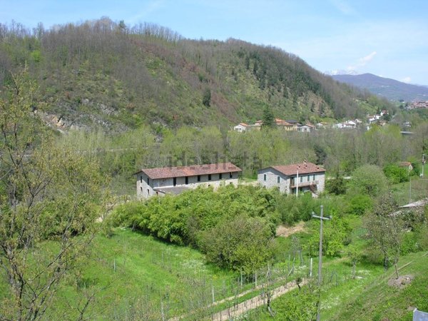 casa indipendente in vendita a Fivizzano