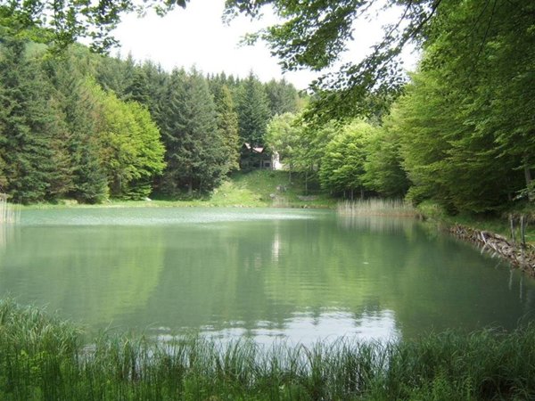 casa indipendente in vendita a Fivizzano