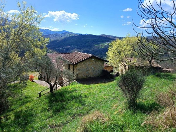 casa indipendente in vendita a Fivizzano