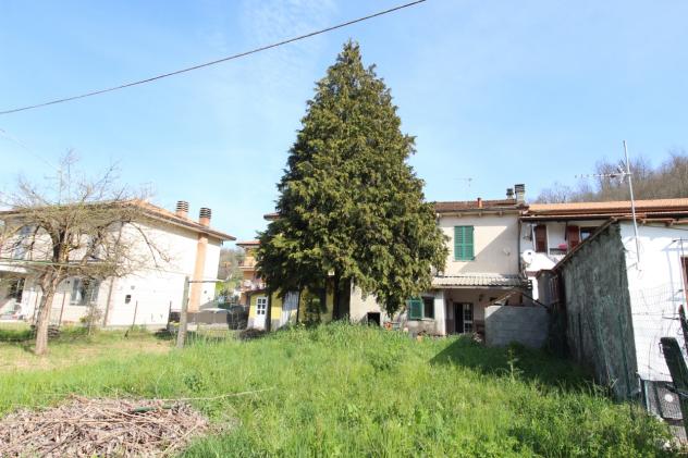 esavano in vendita a Fivizzano in zona Rometta