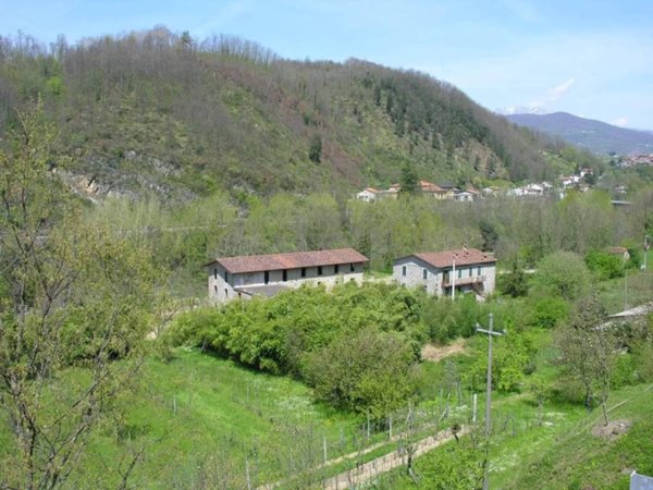 casa indipendente in vendita a Fivizzano