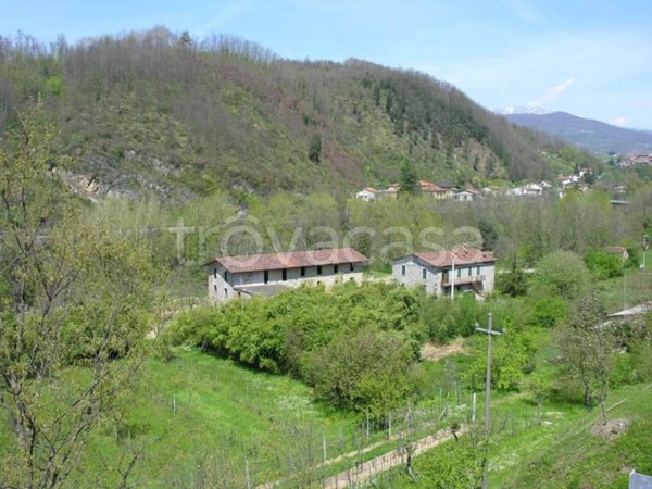 casa indipendente in vendita a Fivizzano