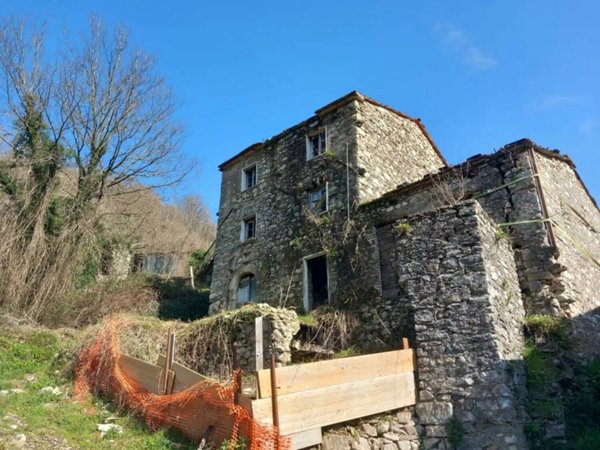 casa indipendente in vendita a Fivizzano