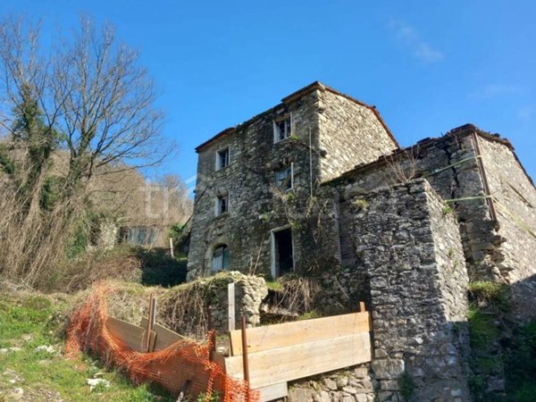 casa indipendente in vendita a Fivizzano