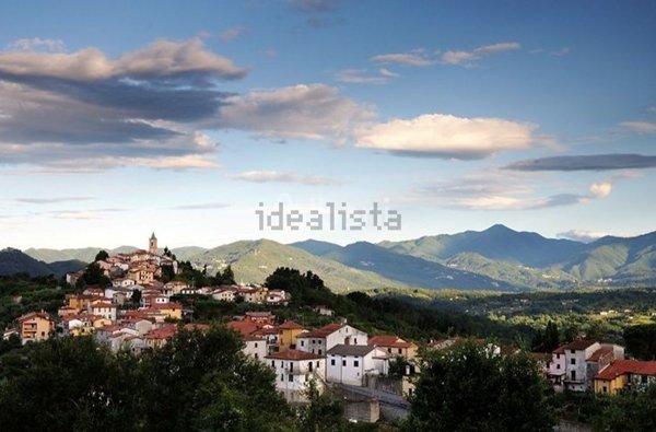 casa indipendente in vendita a Fivizzano in zona Ceserano