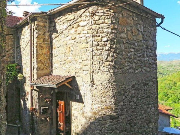 casa indipendente in vendita a Fivizzano