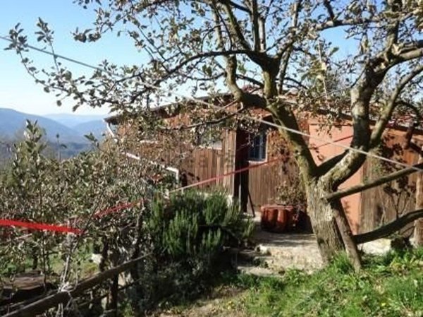 esavano in vendita a Fivizzano