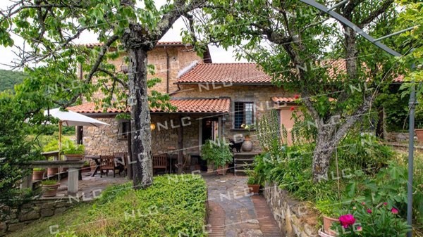 casa indipendente in vendita a Fivizzano in zona Valazzana