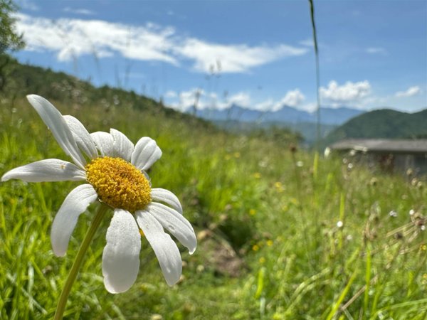 casa indipendente in vendita a Fivizzano