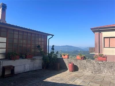 immagine annuncio 0 di 14