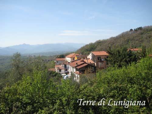 casa indipendente in vendita a Fivizzano