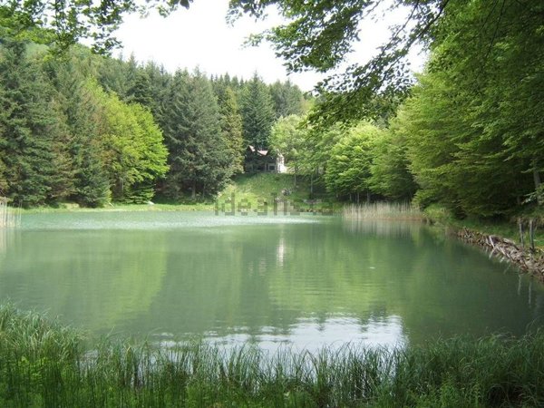 esavano in vendita a Fivizzano