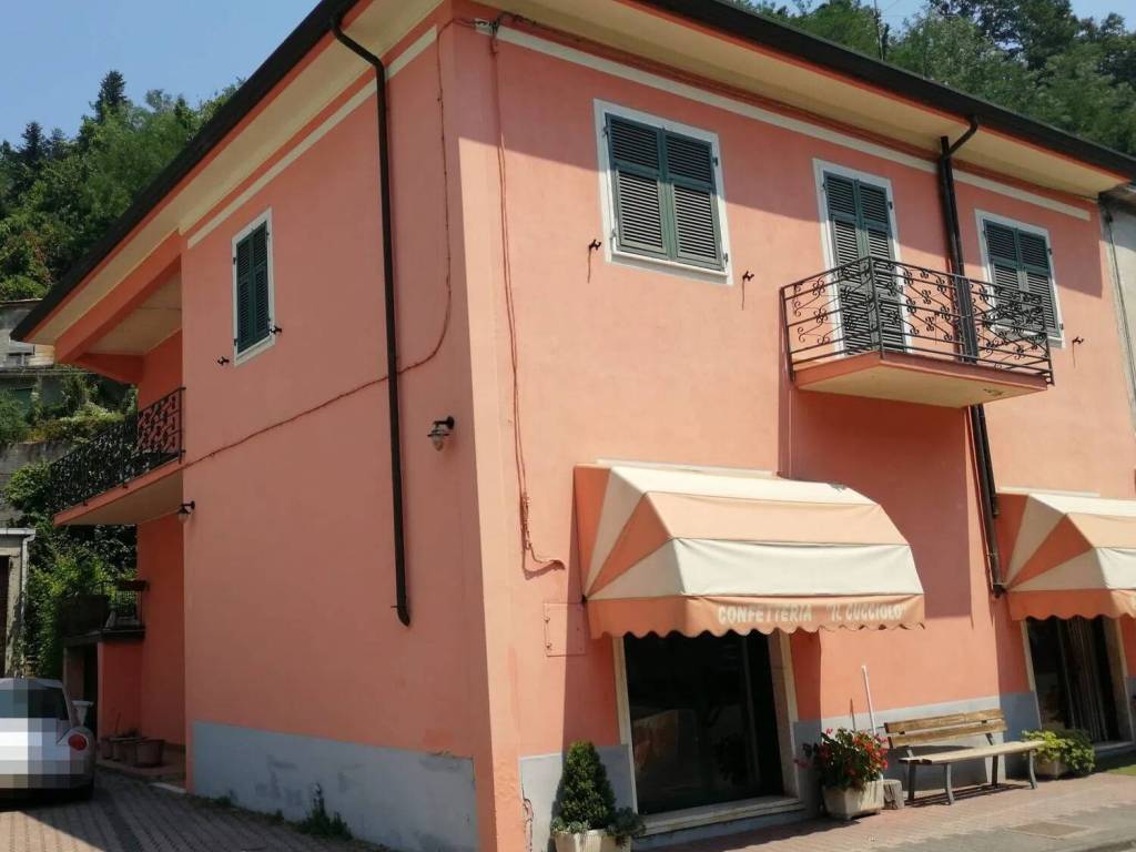 casa semindipendente in vendita a Fivizzano