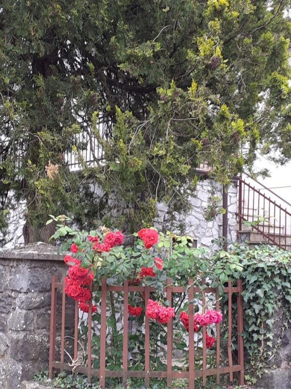 casa indipendente in vendita a Fivizzano