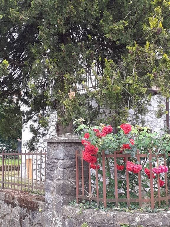 casa indipendente in vendita a Fivizzano