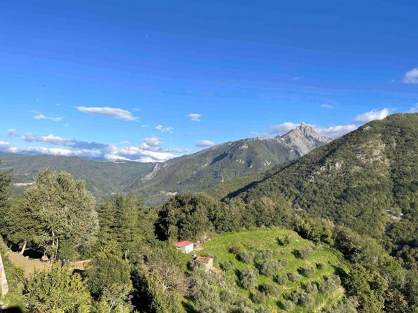 intera palazzina in vendita a Fivizzano in zona Viano