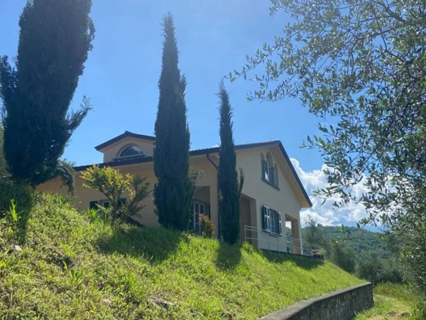 casa indipendente in vendita a Fivizzano