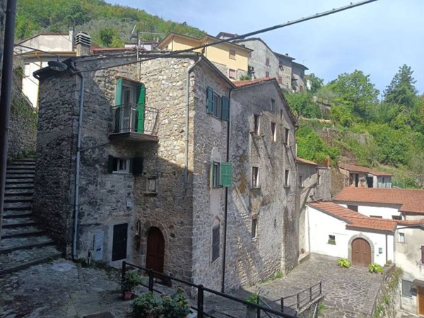 casa indipendente in vendita a Fivizzano