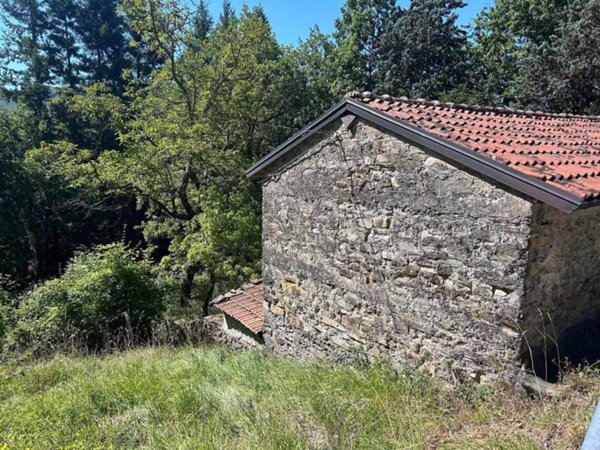 casa indipendente in vendita a Fivizzano in zona Pieve San Paolo