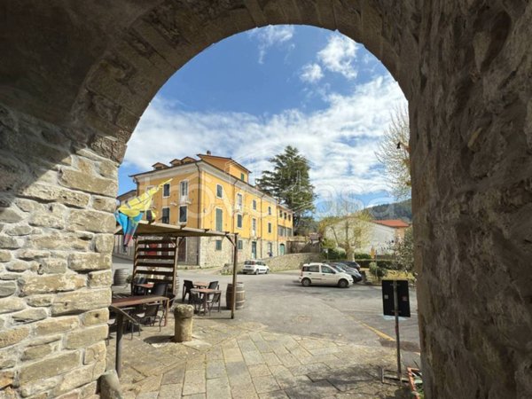 negozio in vendita a Fivizzano