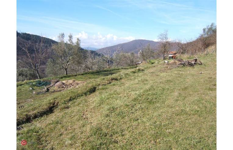 casa indipendente in vendita a Fivizzano in zona Turano