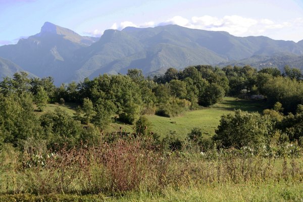 terreno agricolo in vendita a Fivizzano