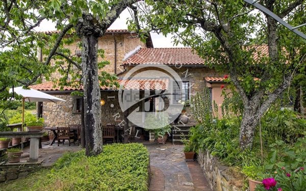 casa indipendente in vendita a Fivizzano