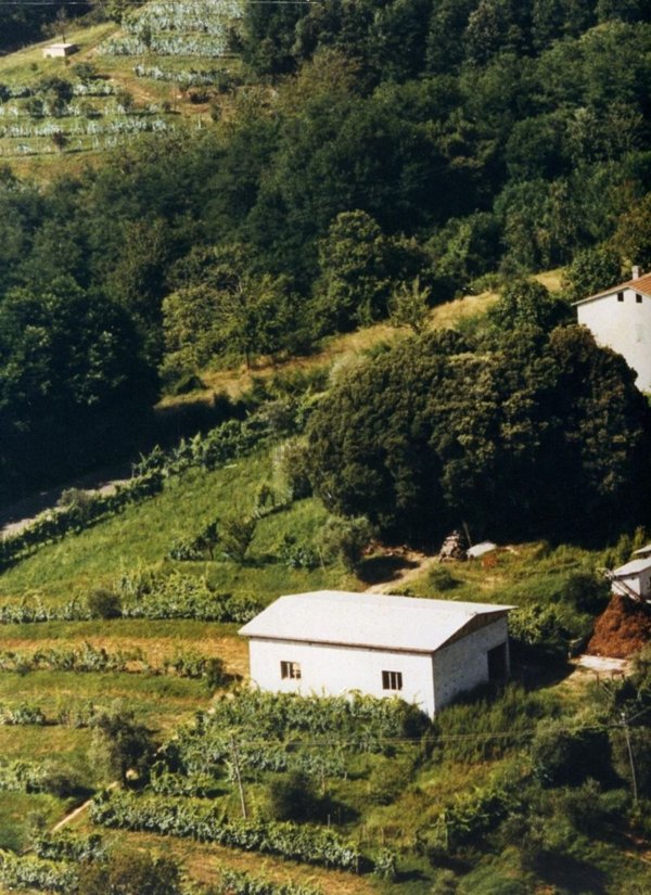 appartamento in vendita a Fivizzano in zona Pò