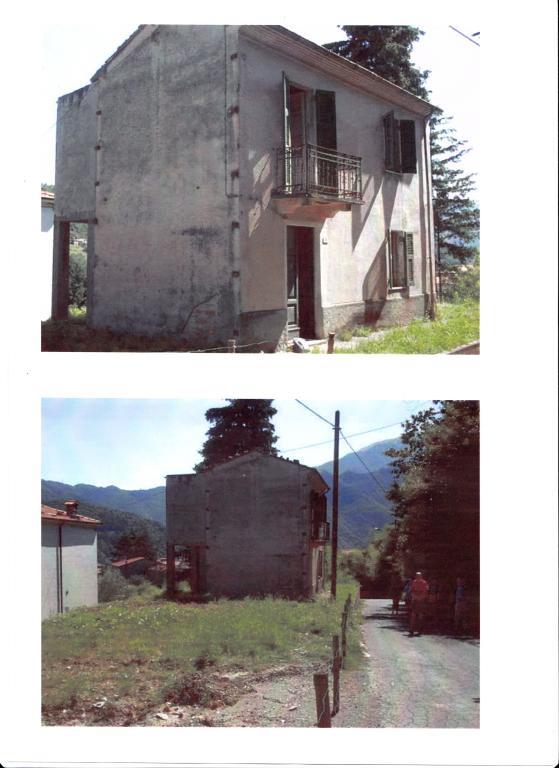 casa indipendente in vendita a Fivizzano