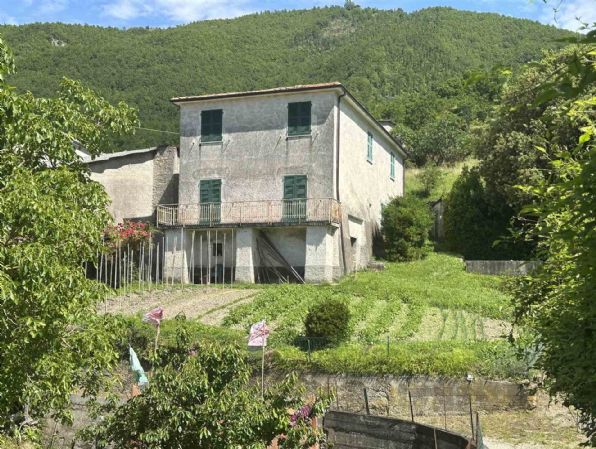 casa indipendente in vendita a Fivizzano in zona Cotto