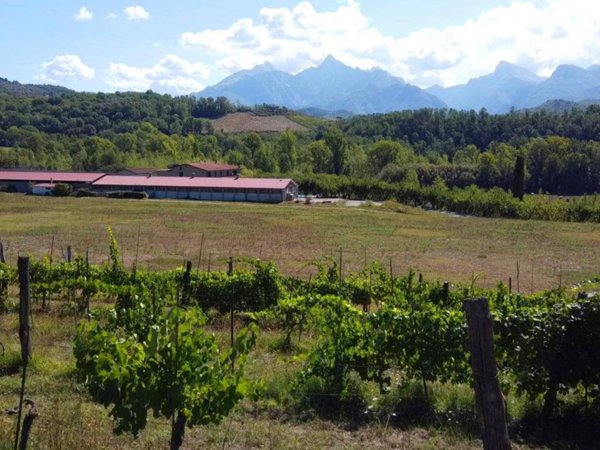 casa indipendente in vendita a Fivizzano