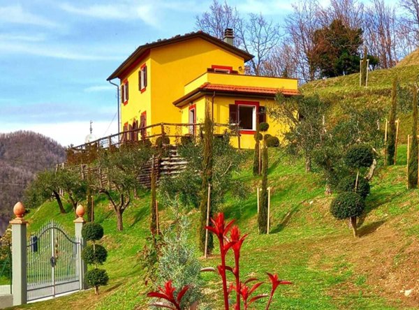 casa indipendente in vendita a Fivizzano in zona Tenerano