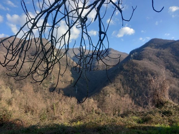 casa indipendente in vendita a Fivizzano in zona Tenerano