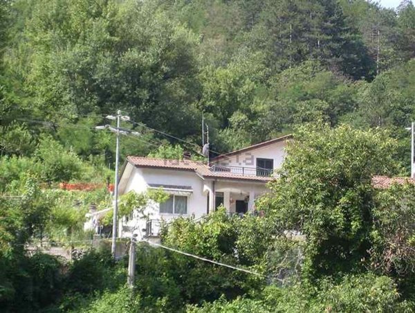 casa indipendente in vendita a Fivizzano