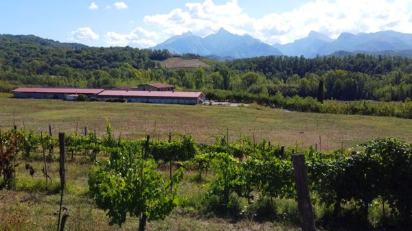 negozio in vendita a Fivizzano in zona Equi Terme